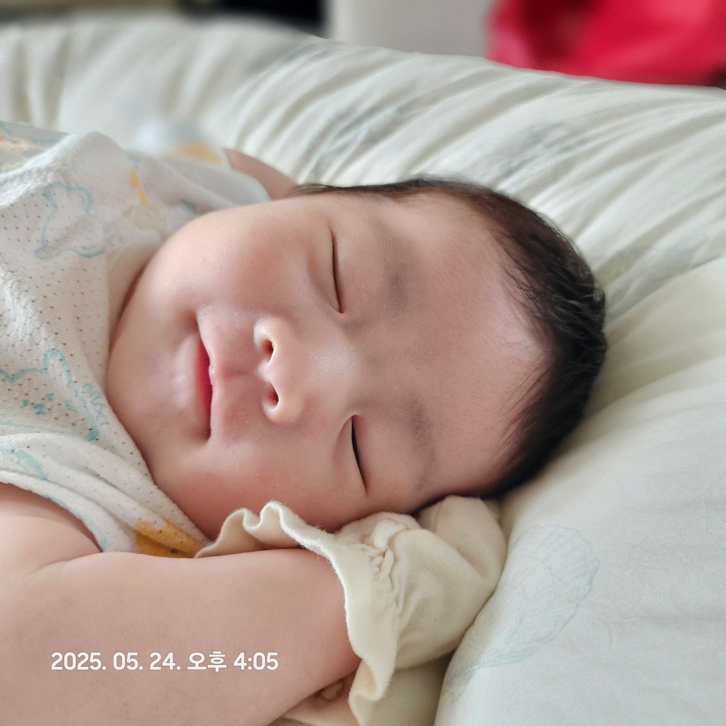 week 5 - photo 4