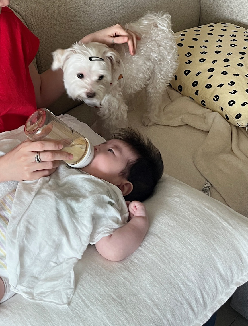 week 13 - photo 5