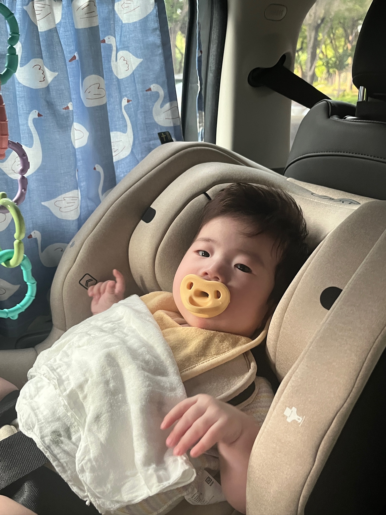 week 16 - photo 2
