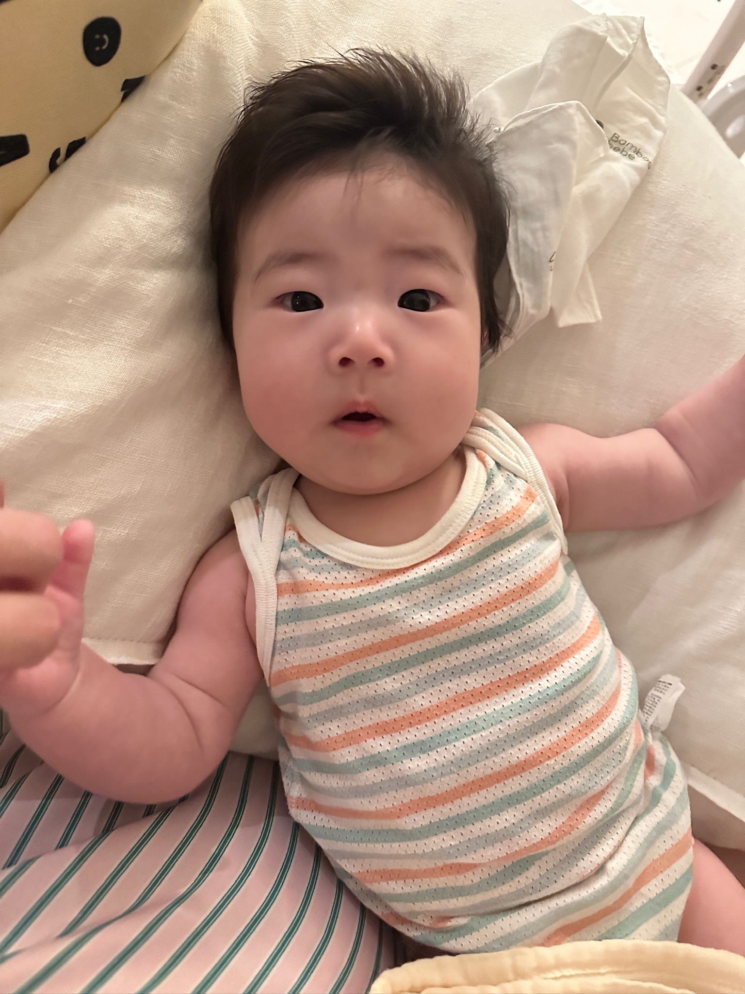 week 16 - photo 4