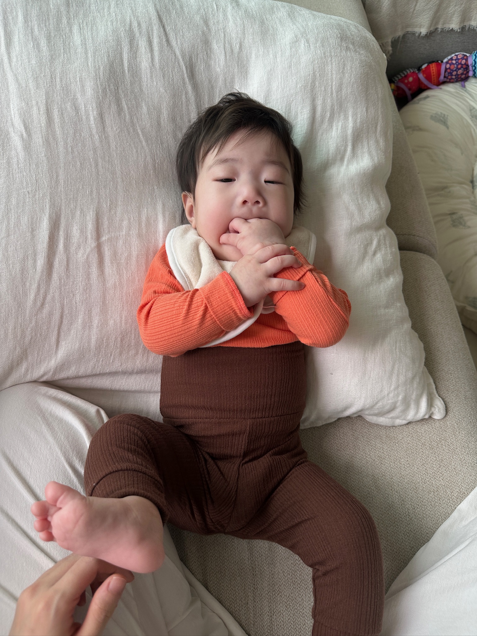 week 22 - photo 10