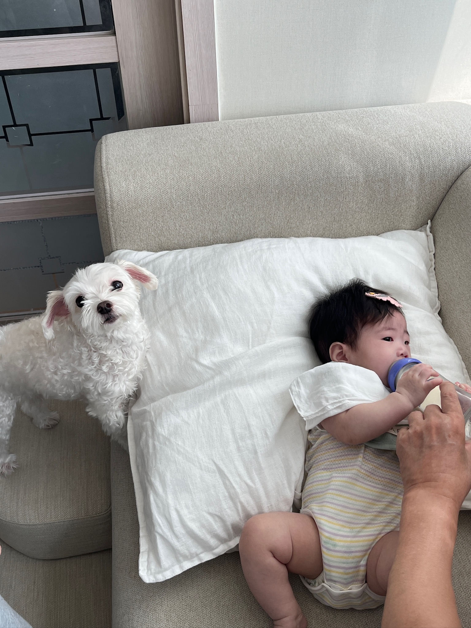 week 22 - photo 6
