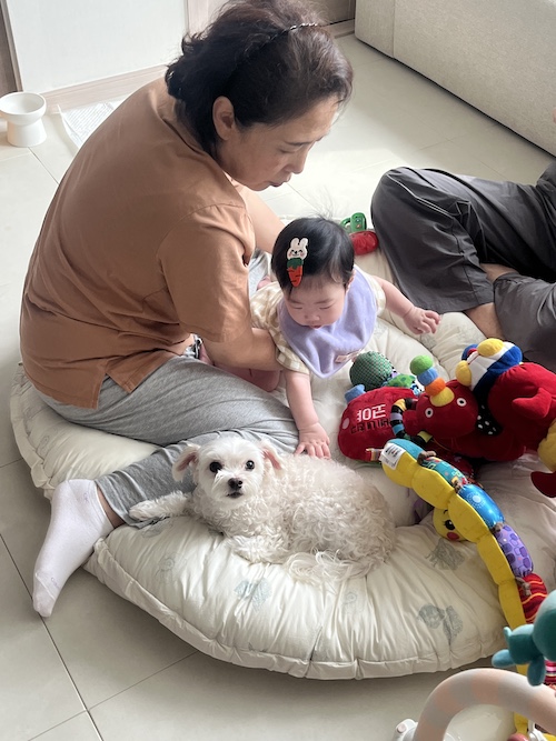 week 23 - photo 3