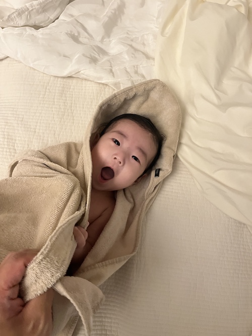 week 23 - photo 8