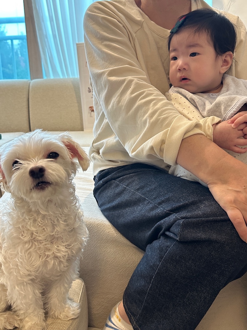 week 24 - photo 11