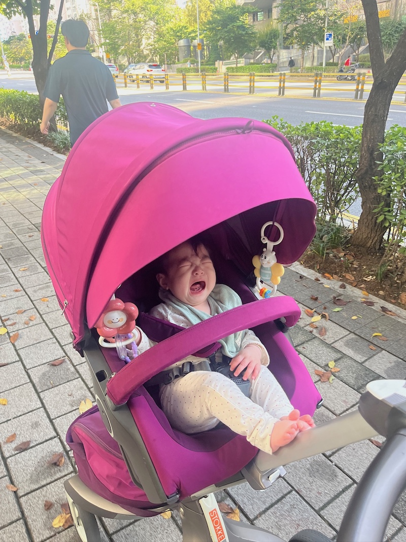 week 25 - photo 7