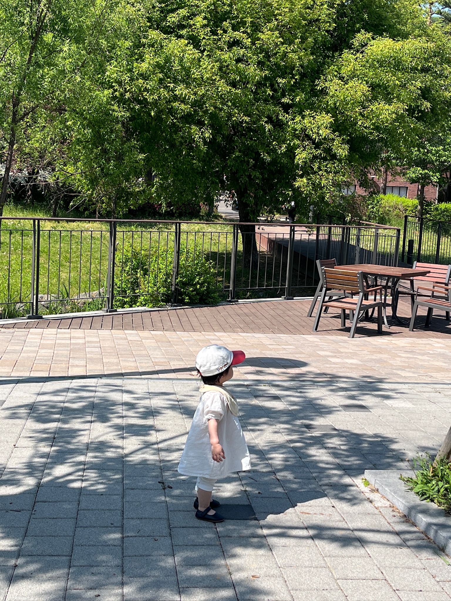 week 53 - photo 16